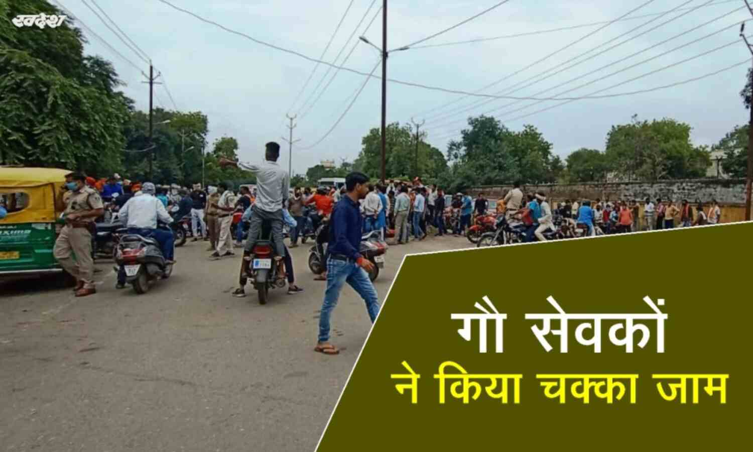 गौवंश की दुर्दशा देख सड़क पर उतरे गौसेवक, किया चक्काजाम