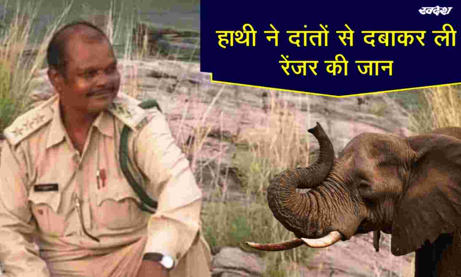 वीभत्स घटना : हाथी ने दांतों से दबाकर ली रेंजर की जान, सीएम ने जताया दुःख