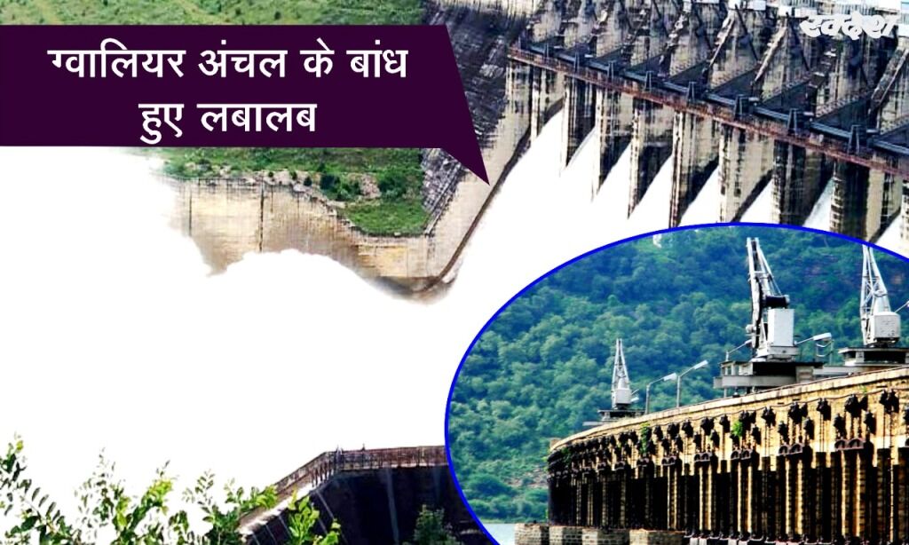 ग्वालियर संभाग के बांध हुए लबालब, जल्द खुल सकते हैं गेट ग्वालियर संभाग के बांध हुए लबालब, जल्द खुल सकते हैं गेट