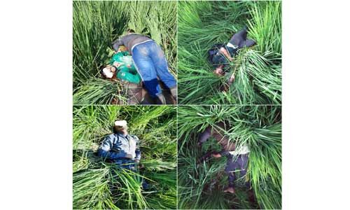 भारत-पाकिस्तान सीमा पर BSF ने 5 घुसपैठियों को मार गिराया