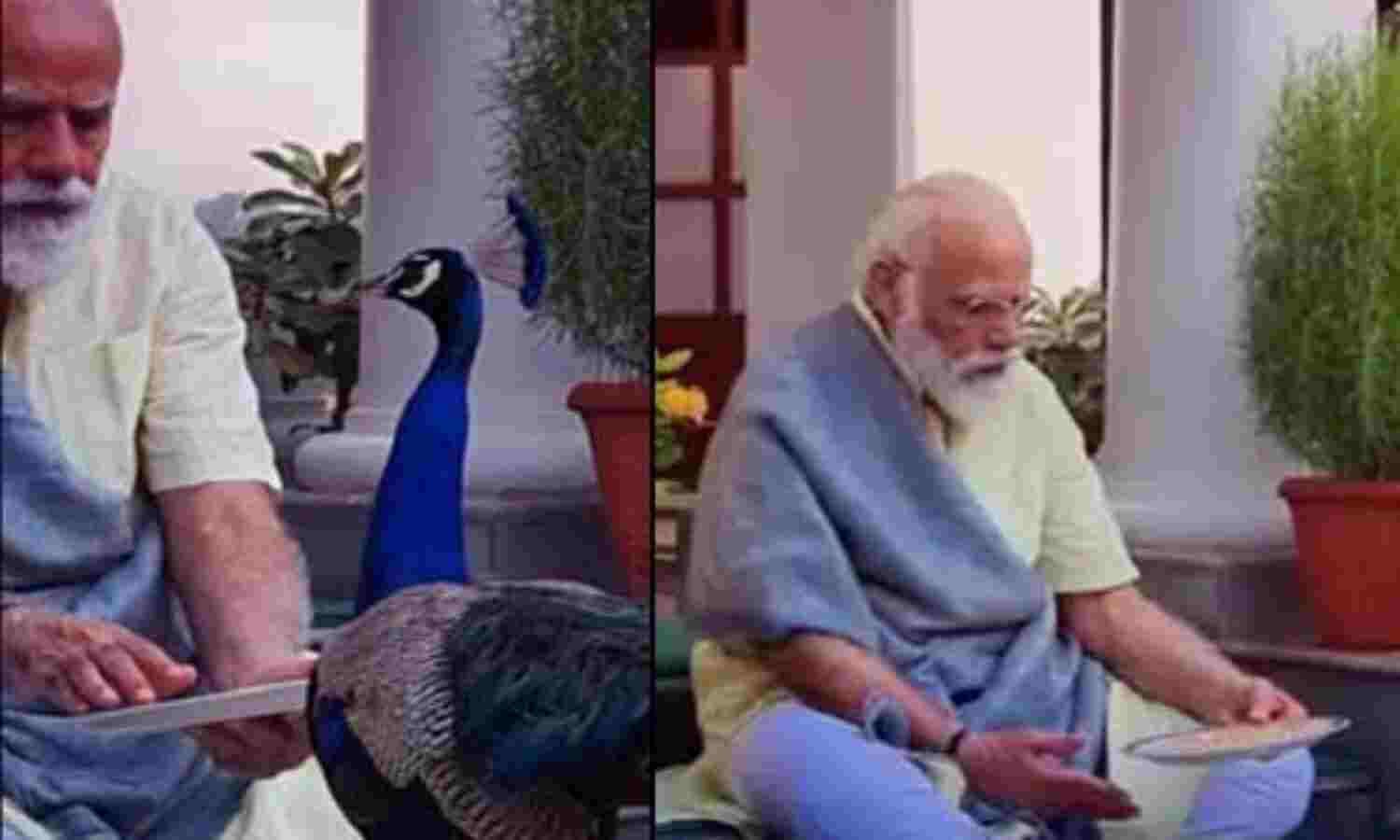 मोर पर पीएम मोदी द्वारा शेयर की गई कविता, पढ़े