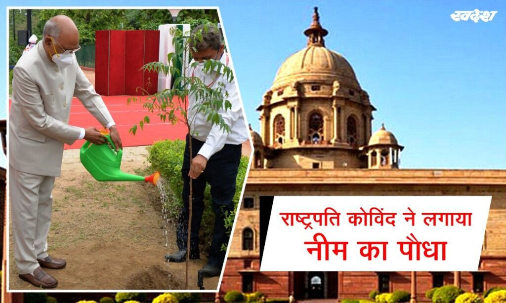 राष्ट्रपति कोविंद ने लगाया नीम का पौधा, मनाया वनमहोत्सव