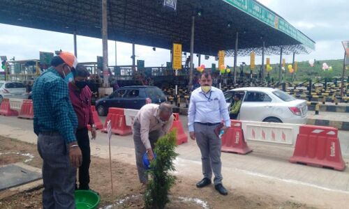 पनिहार टोल नाके पर सांसद विवेक शेजवलकर ने किया वृक्षारोपण