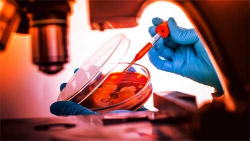 खुलासा : 5 साल से चीन-पाकिस्तान मिलकर बना रहे हैं जैविक हथियार, भारत के खिलाफ होगा उपयोग !