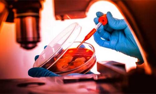 खुलासा : 5 साल से चीन-पाकिस्तान मिलकर बना रहे हैं जैविक हथियार, भारत के खिलाफ होगा उपयोग !