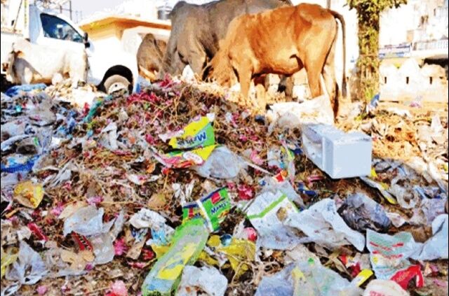 शहर के पॉश इलाके गंदगी में, अधिकारी कागजों में करा रहे सफाई