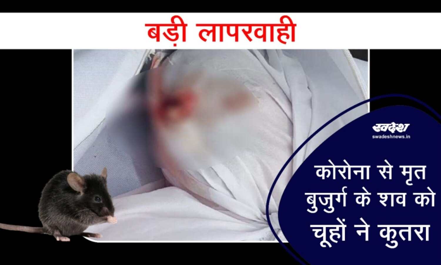 बड़ी लापरवाही : कोरोना से मृत बुजुर्ग के शव को चूहों ने कुतरा