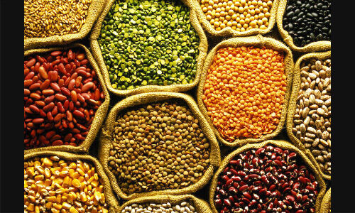 अब मोदी सरकार सब्सिडी वाली दरों पर उपलब्ध कराएगी दाल