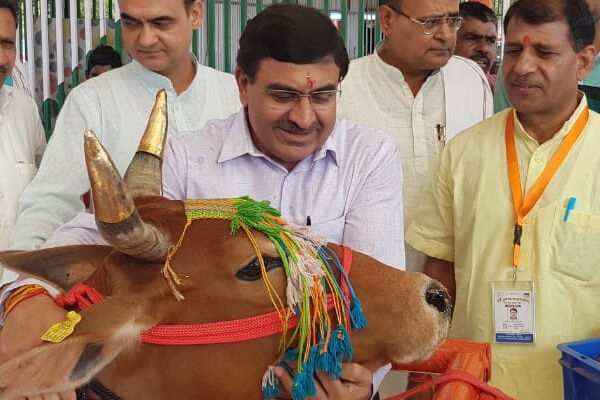 गौमूत्र और गाय को लेकर राष्ट्रीय कामधेनु आयोग के चेयरमैन ने कहा - गौसत्व कवचर से कम होगा रेडिएशन