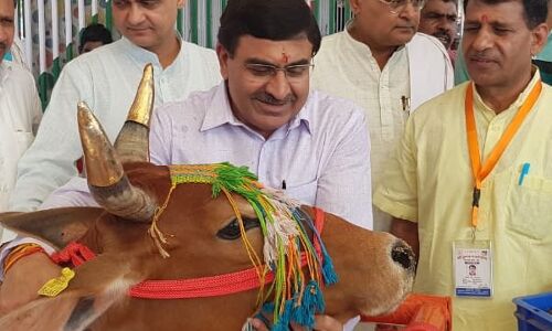 गौमूत्र और गाय को लेकर राष्ट्रीय कामधेनु आयोग के चेयरमैन ने कहा - गौसत्व कवचर से कम होगा रेडिएशन