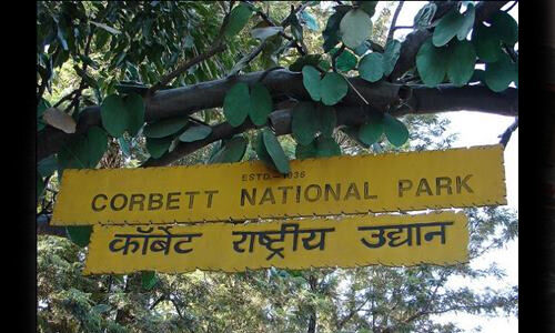 15 अक्टूबर से कॉर्बेट नेशनल पार्क में नाइट स्टे कर सकेंगे पर्यटक