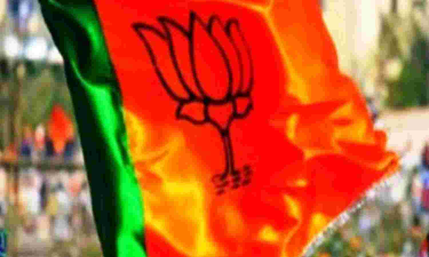 भाजपा में शामिल हुई महिलाओं ने कहा- जिस पार्टी में कमलनाथ जैसा नेता हो, वहां कोई महिला न जाए