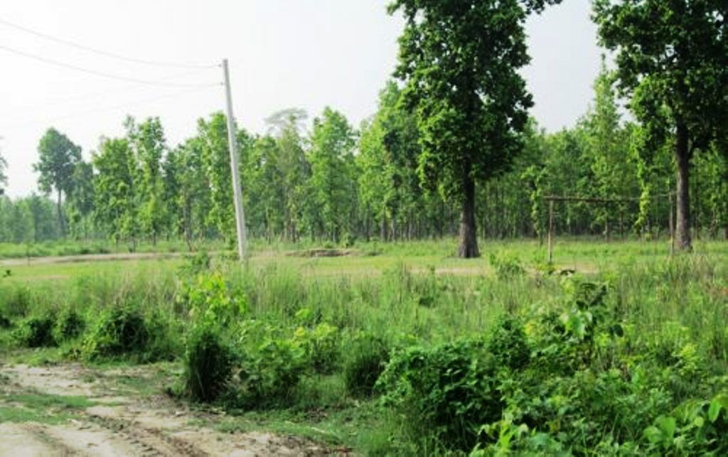 वन भूमि पर अतिक्रमण का प्रयास, निर्माण सामग्री जब्त