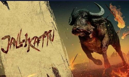 भारतीय फिल्म जलीकट्टू को 93वें ऑस्कर अवार्ड के लिए किया गया नॉमिनेट