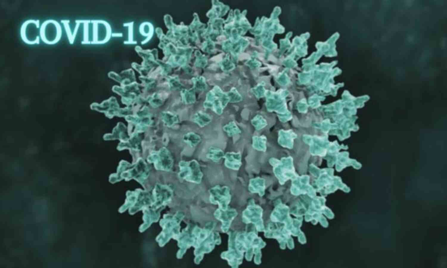 भारत में पिछले 24 घंटों में सामने आए 41 हजार से ज्यादा मामले, दर्ज हुई 485 नई मौतें