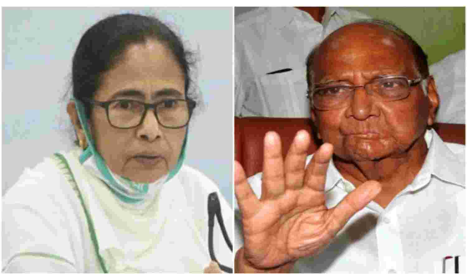 ममता ने पवार को किया फोन, भाजपा के खिलाफ लड़ाई में मांगा सहयोग