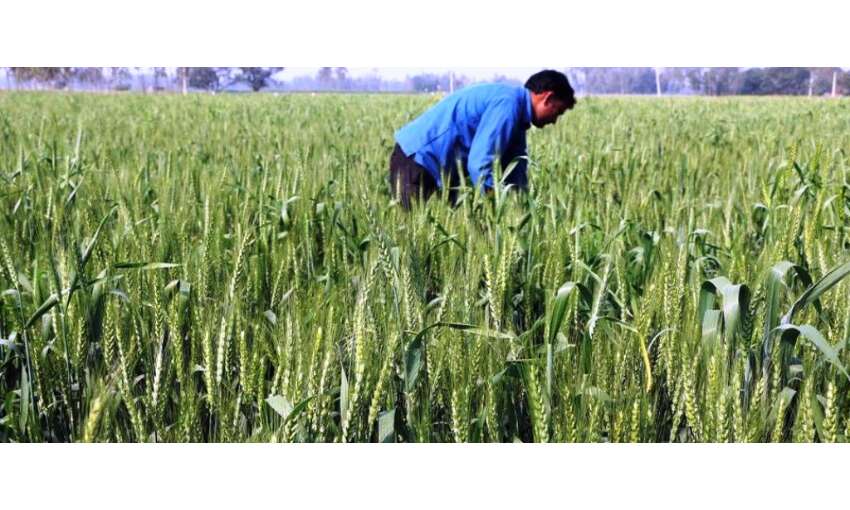 सरकार का किसानों को बड़ा तोहफा, 16.50 लाख करोड़ का बजट पेश सरकार का किसानों को बड़ा तोहफा, 16.50 लाख करोड़ का बजट पेश