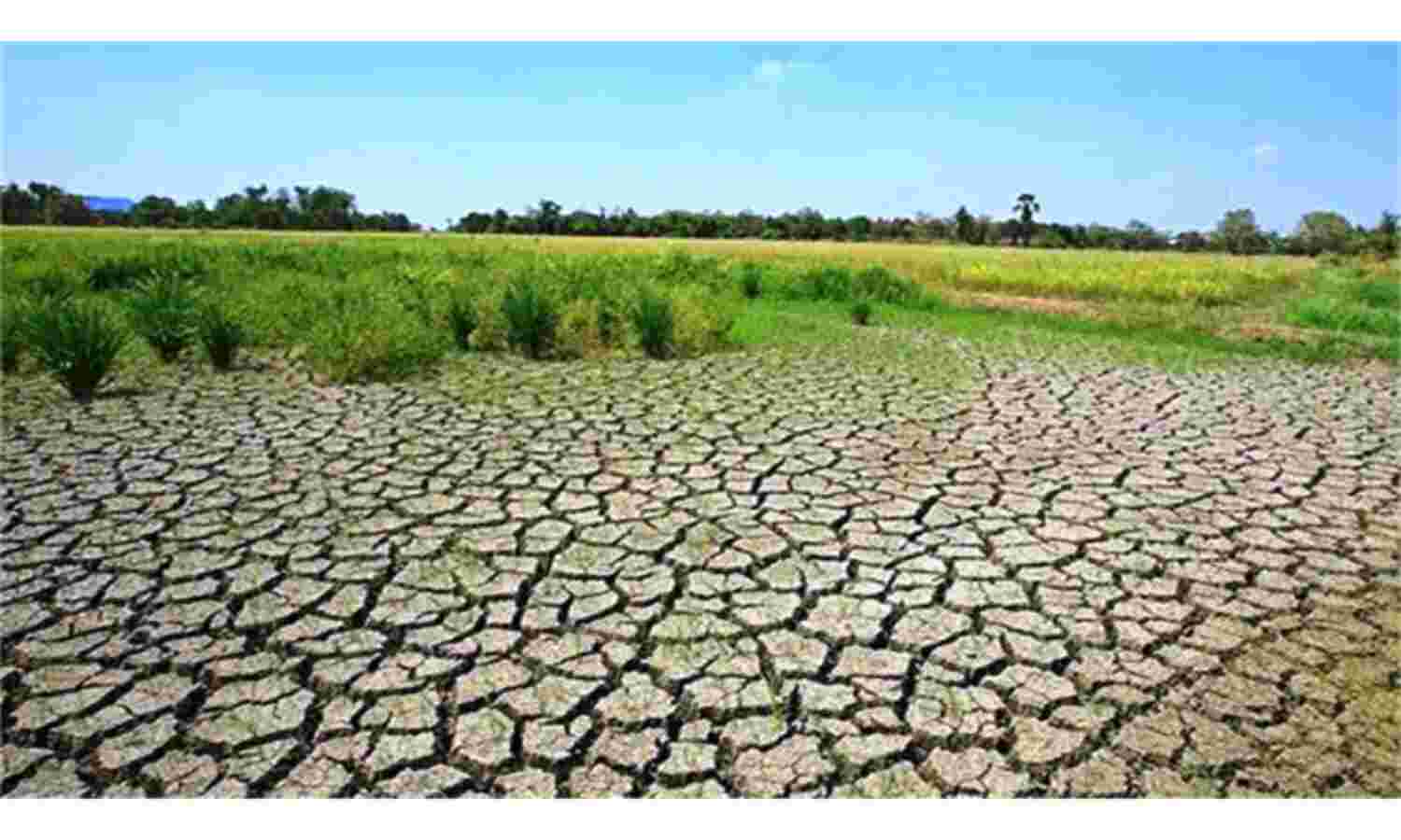 75 हजार हेक्टेयर बंजर जमीन बनेगी उपजाऊ, 2 लाख किसानों को होगा फायदा