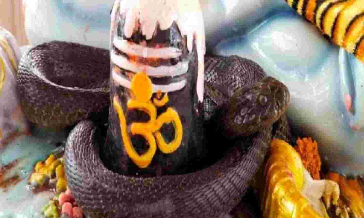 गोरक्षनाथ घाट पर शिवलिंग से लिपटा नाग