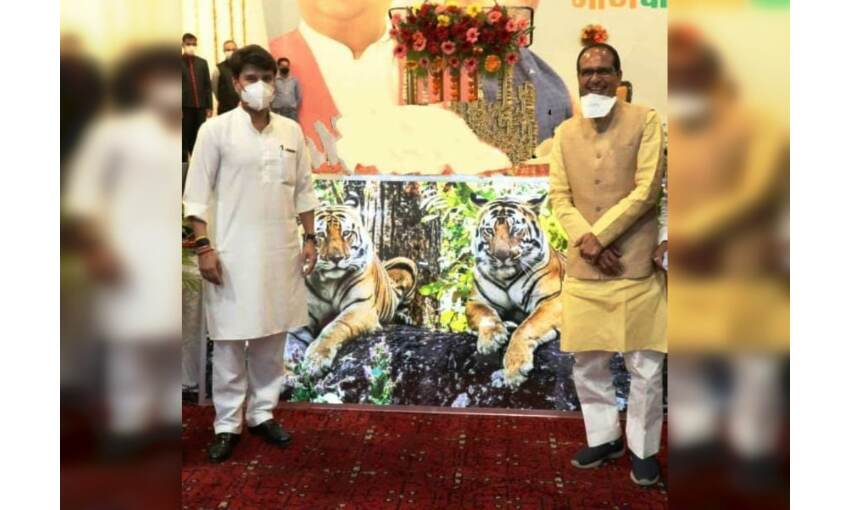 मप्र में कांग्रेस की भ्रष्ट सरकार को उखाड़ने वाले 2 टाइगर मप्र में कांग्रेस की भ्रष्ट सरकार को उखाड़ने वाले 2 टाइगर