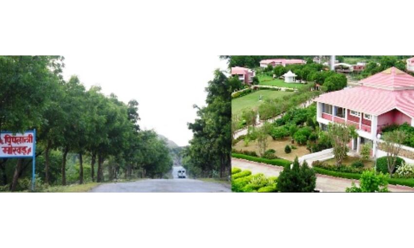 अंतर्राष्ट्रीय जल दिवस : पिपलांत्री और हिवरे बाजार ऐसे गांव जो सूखे को मात देकर बने आदर्श