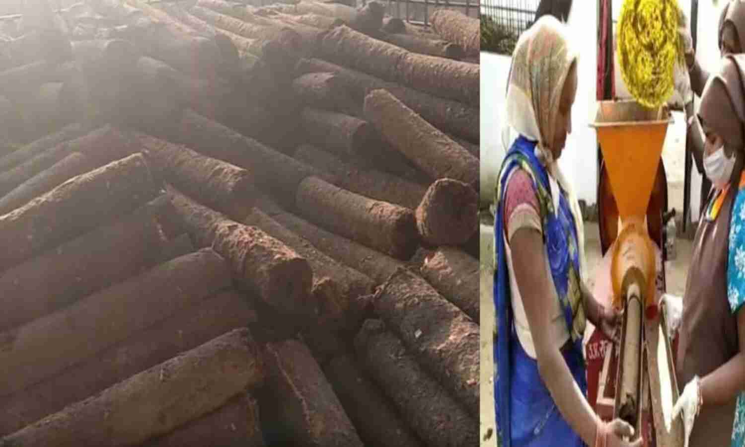 सुलतानपुर: हवन, तंदूर में जलेगी गाय के गोबर की लकड़ी, आनलाइन भी कर सकेंगे खरीदारी