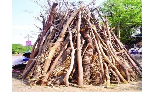 इस शुभ मुहूर्त में होगा होलिका दहन, हुड़दंगियों पर रहेगी प्रशासन की नजर इस शुभ मुहूर्त में होगा होलिका दहन, हुड़दंगियों पर रहेगी प्रशासन की नजर