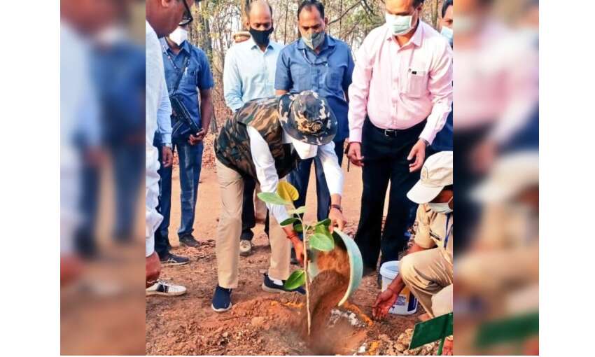 मुख्यमंत्री ने लगाया बरगद का पौधा, आमजनों से की परिवार संग होली मनाने की अपील
