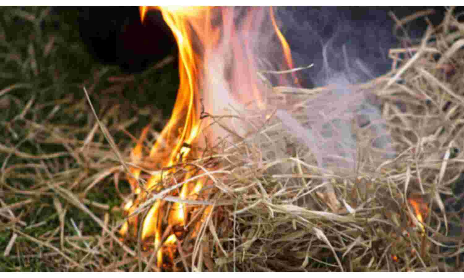 दर्दनाक हादसा : अररिया में फुस से बने घर में आग लगने से 6 बच्चे जिन्दा जले