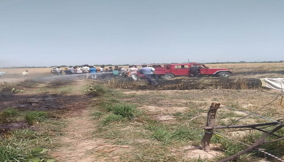 कानपुर देहात: आगजनी से डेढ़ बीघा गेहूं जलकर खाक