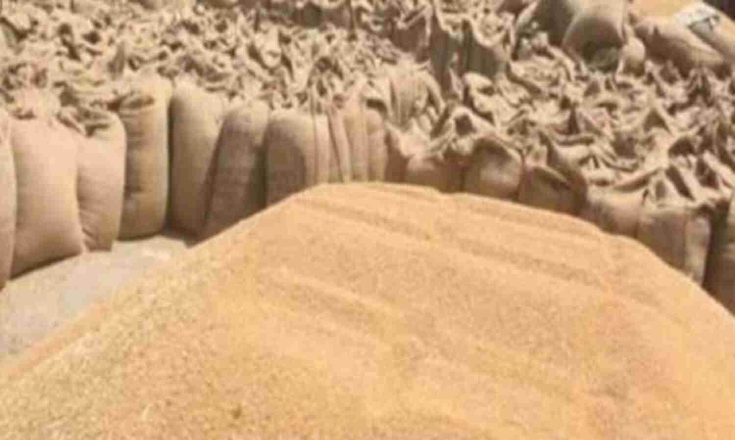 किसानों की बाछें खिलीं, 2.98 लाख मीट्रिक टन हुई गेहूं खरीद