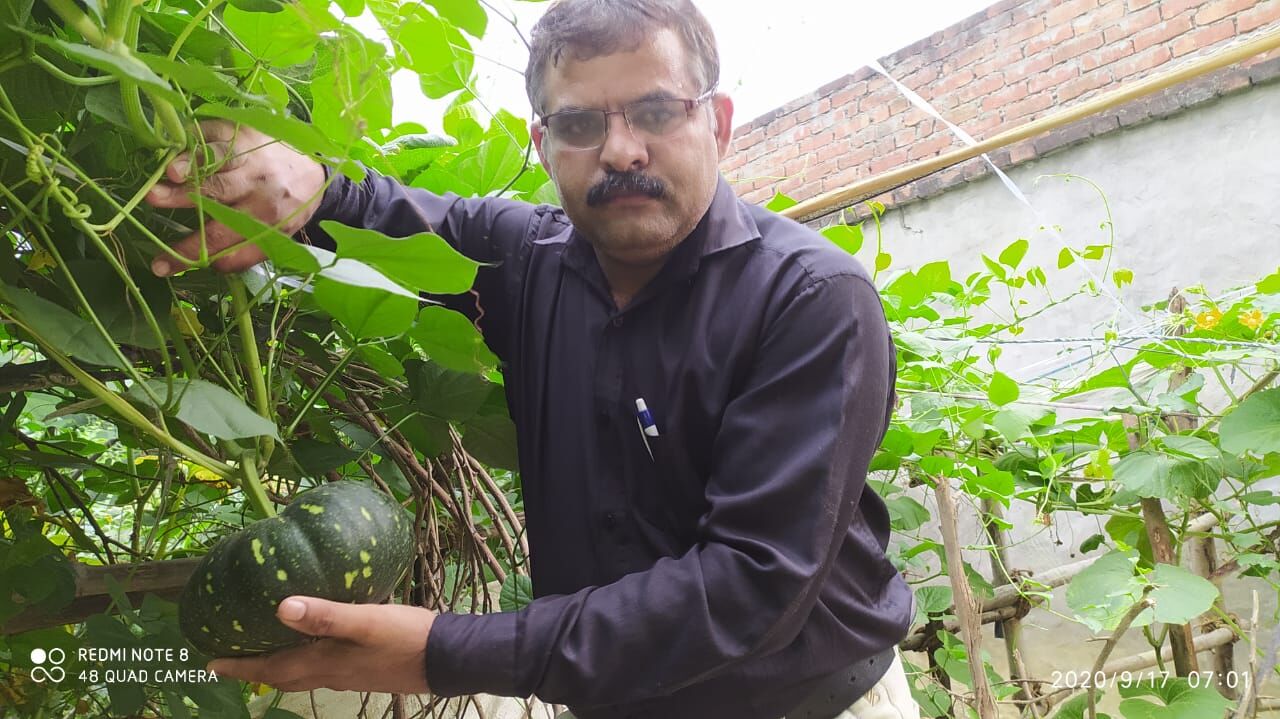 गृह वाटिका : सेहत, वातावरण के साथ बजट सुधारने में लाभकारी