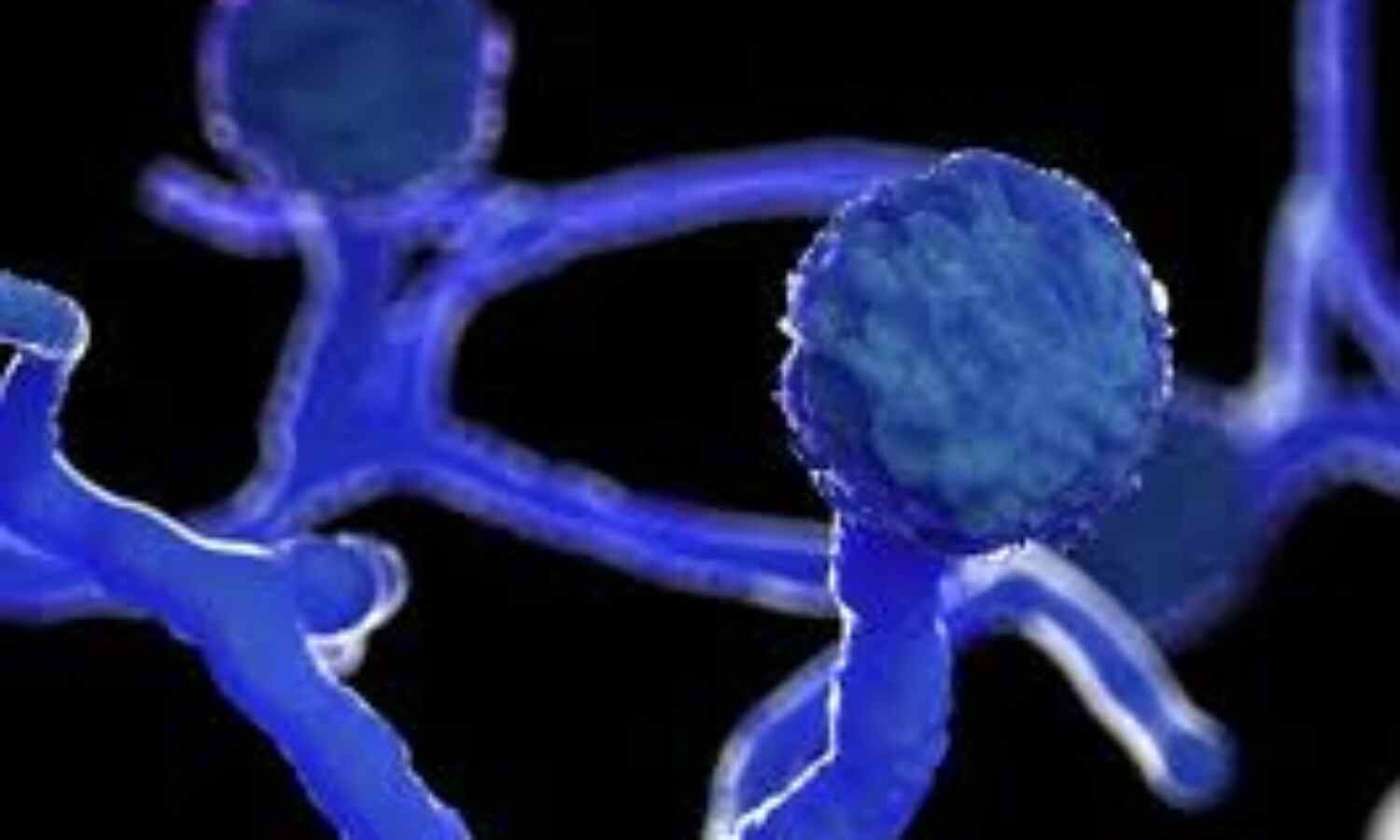 कोरोना वायरस के साथ अब बढ़ने लगा ब्लैक फंगस का खतरा