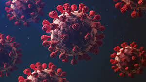 कोरोना वायरस: उत्तर प्रदेश में रिकवरी रेट 86 प्रतिशत बढ़ा, 24 घंटे में 17,775 मामले, 286 की मौत