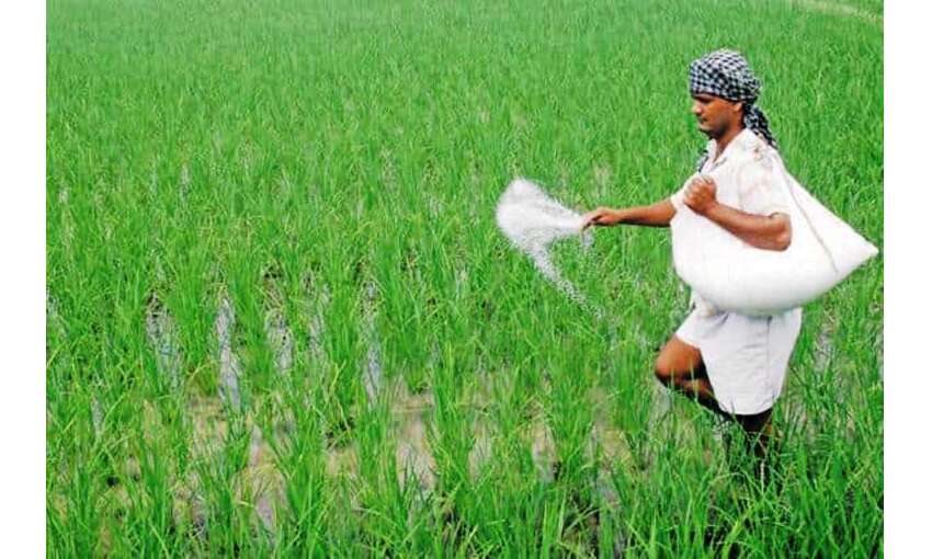 सरकार ने किसानों को डीएपी खाद पर दी रियायत, सब्सिडी 140 फीसदी बढ़ाई