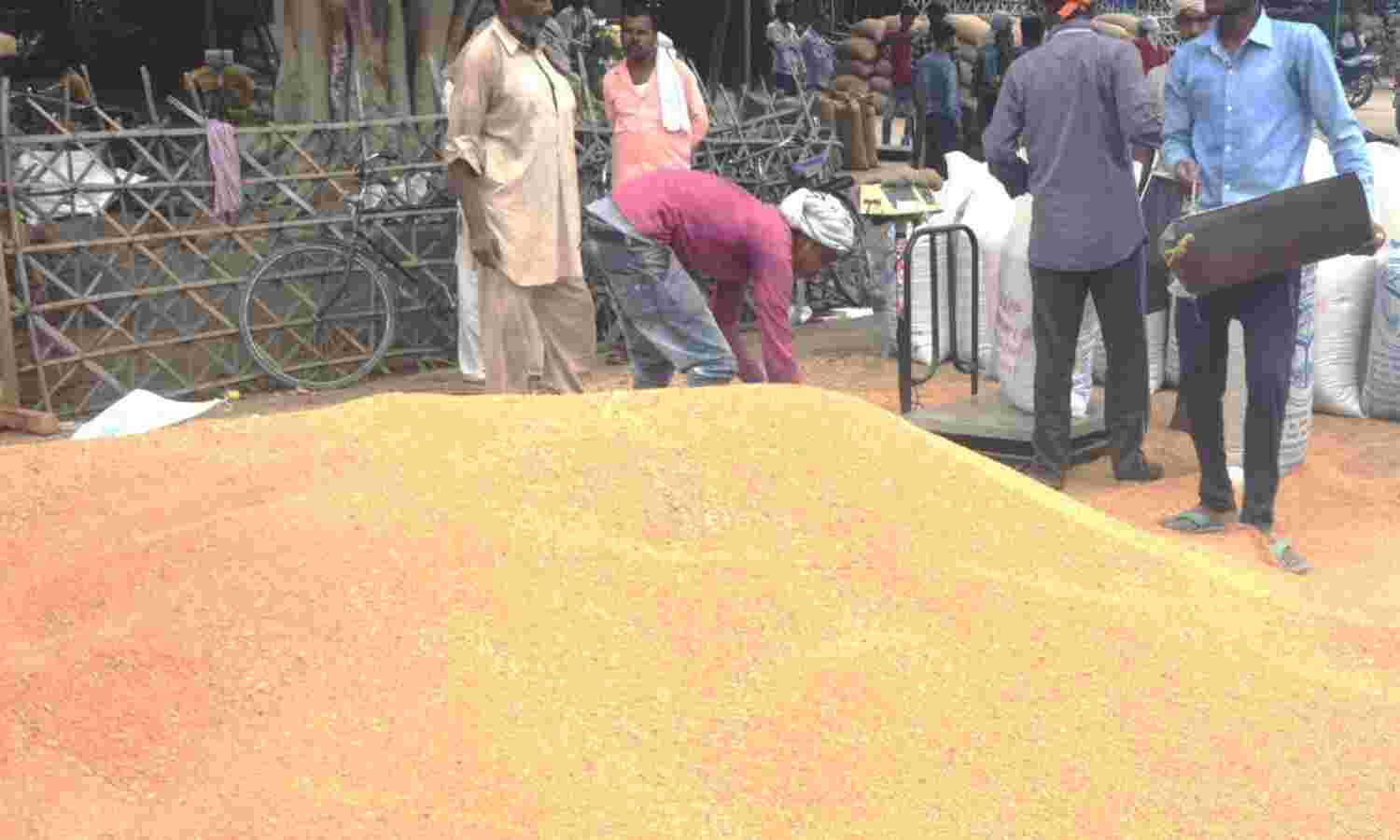 फतेहपुर: कैसे हो कार्यवाई जब आरोपियों ने ही रिपोर्ट बनाई, जिला प्रभारियों की रिपोर्ट में नहीं भीगा गेहूं !