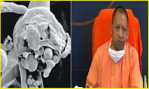 उत्तर प्रदेश में ब्लैक फंगस महामारी घोषित