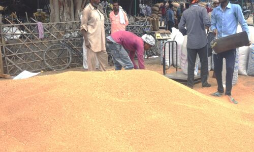 फतेहपुर: कैसे हो कार्यवाई जब आरोपियों ने ही रिपोर्ट बनाई, जिला प्रभारियों की रिपोर्ट में नहीं भीगा गेहूं !