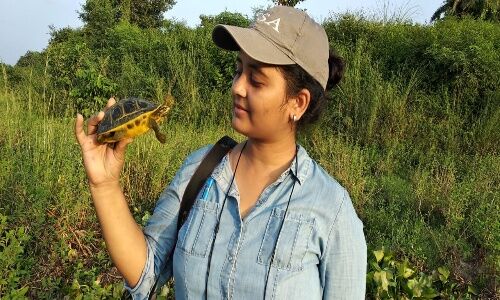 बहराइच:विश्व कछुआ दिवस पर कछुओं की सुरक्षा एवं संरक्षा के लिए वेवसाइट और ऐप हुआ लाँच