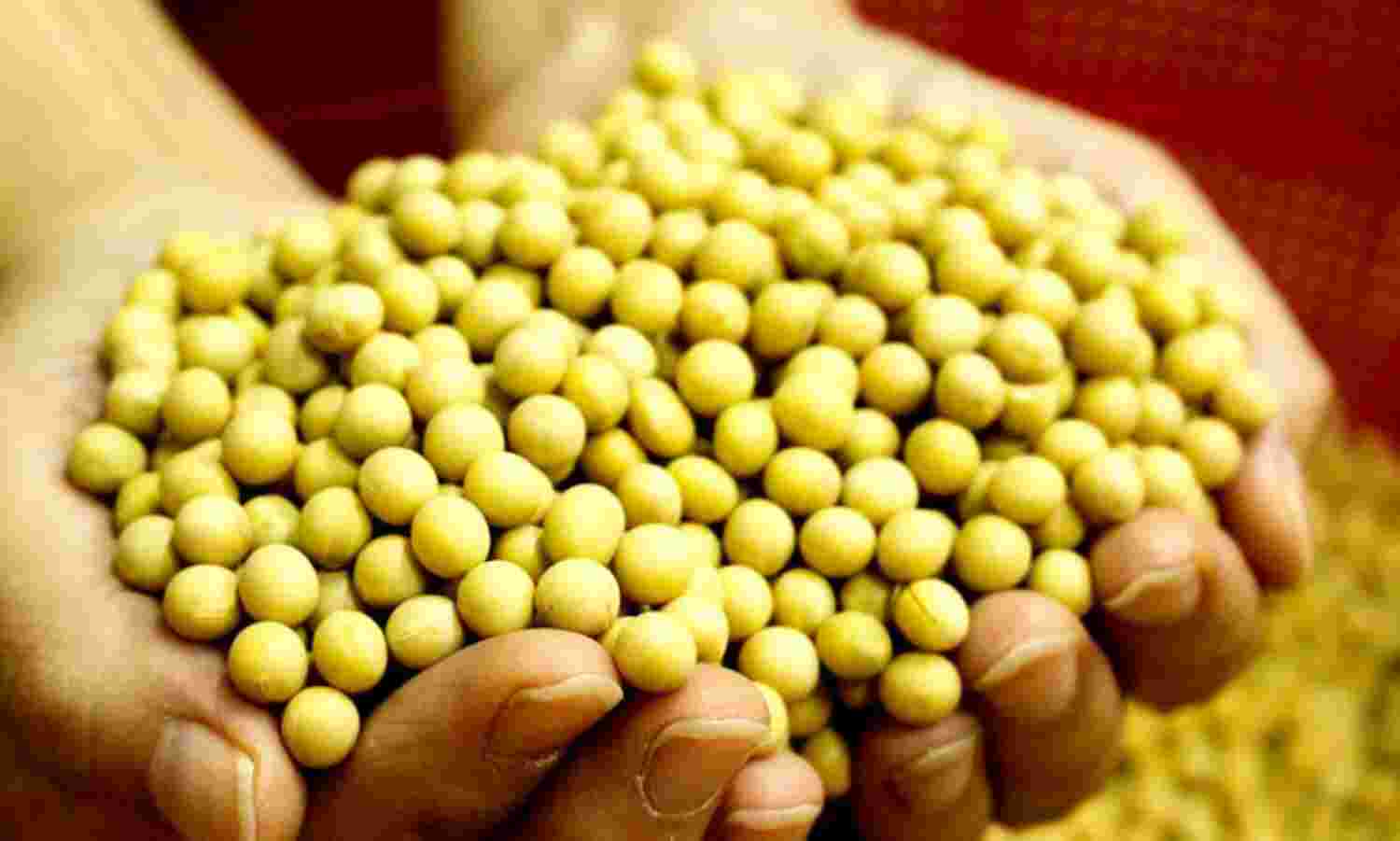 सोयाबीन बीज की किल्लत, किसान आंधी के आम बटोरने में लगे