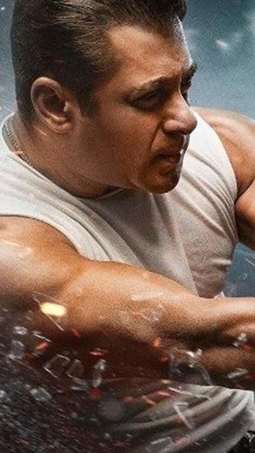 सोफिया हयात ने सलमान खान को सुनाई खरी-खरी