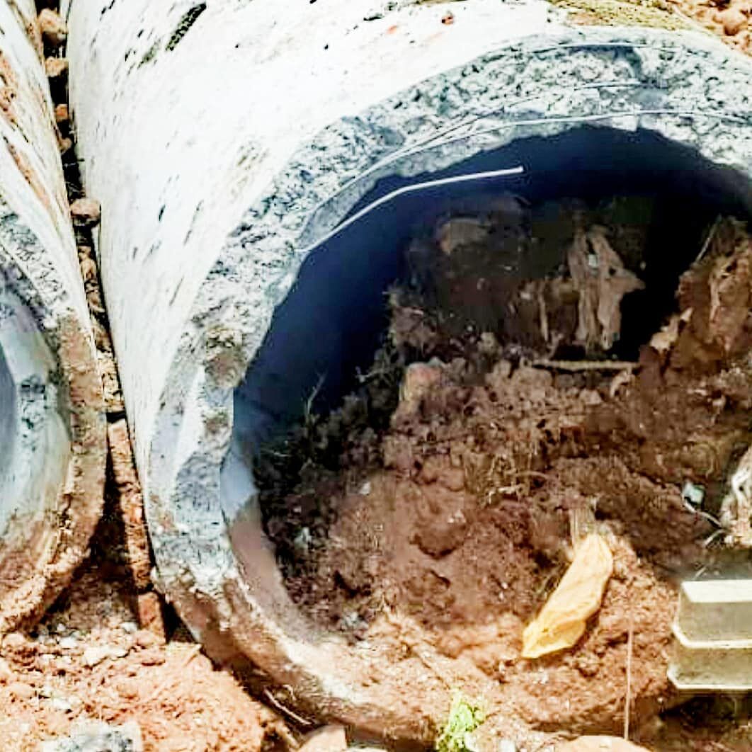 बेतवा केन लिंक परियोजना लेगी 21 लाख 10 हजार हेक्टेयर में फैले पेड़ों की बलि बेतवा केन लिंक परियोजना लेगी 21 लाख 10 हजार हेक्टेयर में फैले पेड़ों की बलि