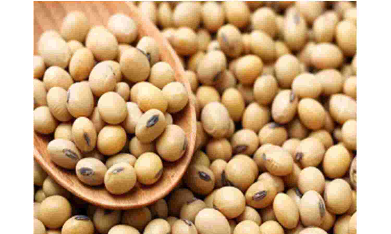 सोयाबीन बीज हुआ 10 हजारी, किसानों का बड़ा दाव