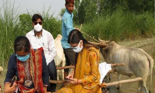 बदायूं की कलेक्टर बैलगाड़ी से पहुंच गईं गांव, ये है पूरा मामला