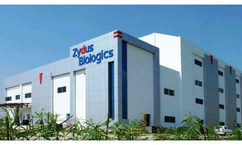 जायडस कैडिला ने आपातकालीन उपयोग की मांगी मंजूरी, निडिल फ्री वैक्सीन होगी जायडस कैडिला ने आपातकालीन उपयोग की मांगी मंजूरी, निडिल फ्री वैक्सीन होगी