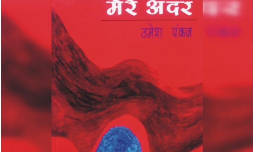 एक धरती मेरे अंदर- काव्य संग्रह- समीक्षा