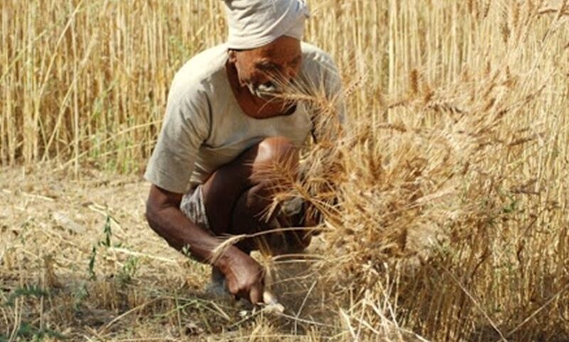 मप्र सरकार भरेगी किसानों के फसल बीमा की प्रीमियम, अमानक खाद-बीज विक्रेताओं पर होगी कार्रवाई