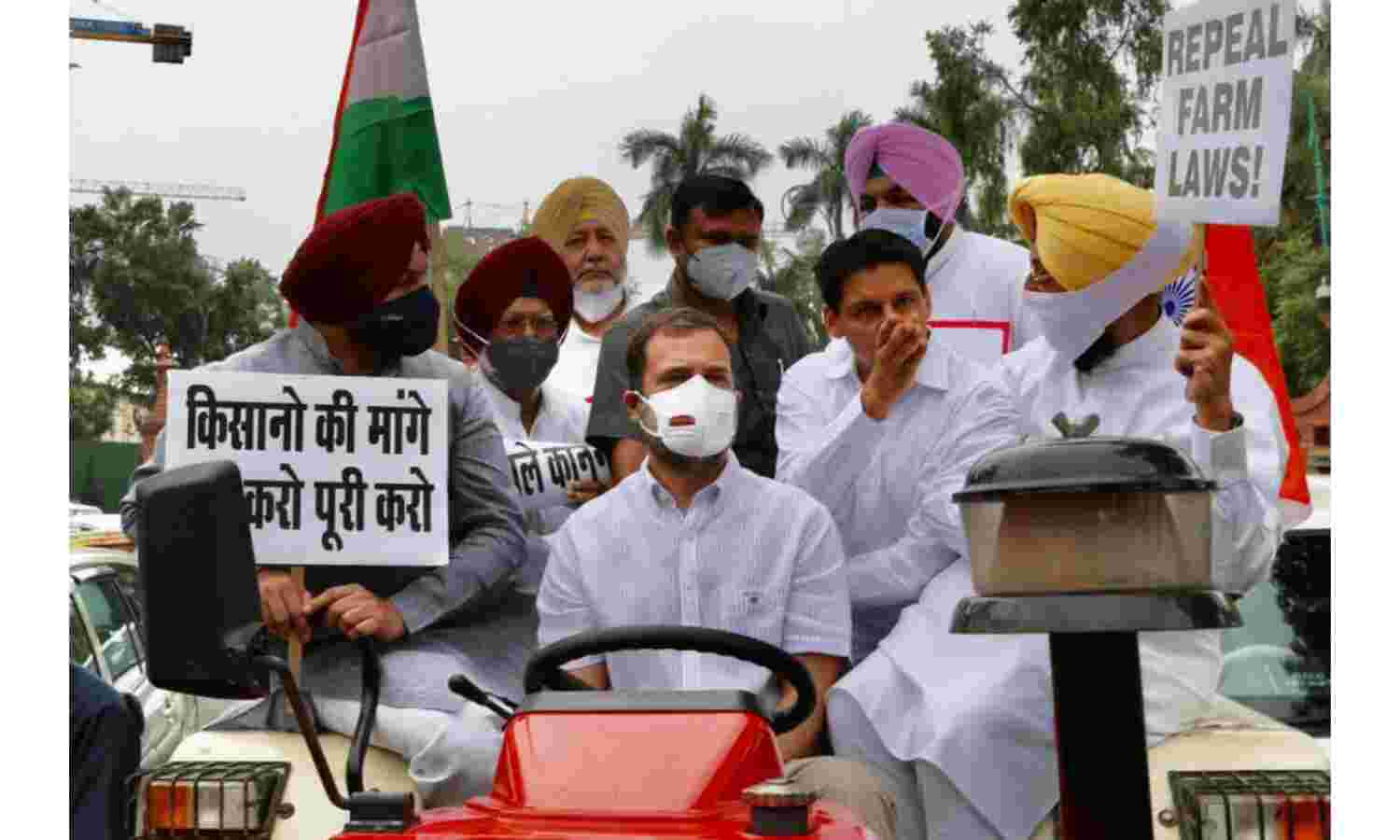 राहुल गांधी ट्रेक्टर लेकर संसद पहुंचे, सुरजेवाला सहित कई नेता गिरफ्तार