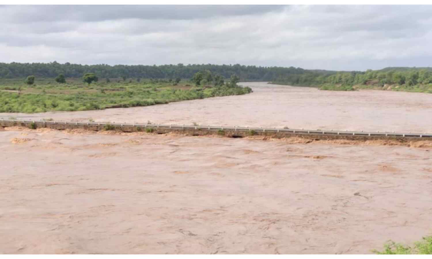 ग्वालियर-चंबल अंचल सहित प्रदेश में तेज बारिश, श्योपुर में नदियां खतरे के निशान से ऊपर
