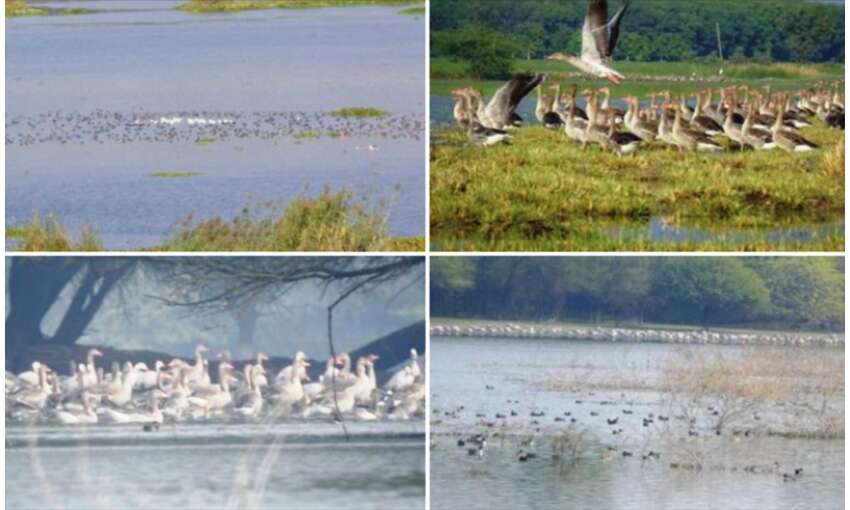 भारत के चार स्थलों को रामसर मान्यता मिलना गर्व की बात : प्रधानमंत्री